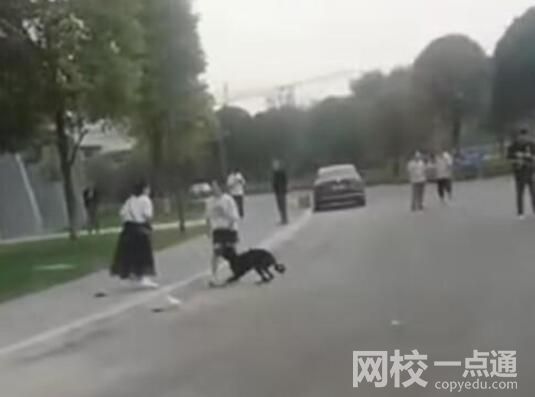 3岁男童路遇烈犬挣脱狗绳撕咬 究竟是怎么回事？